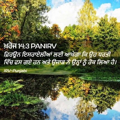 Picture 02 - ਖ਼ਰੋਜ 14:3 PANIRV - ਫ਼ਿਰਊਨ ਇਸਰਾਏਲੀਆਂ - Bible Verse Picture