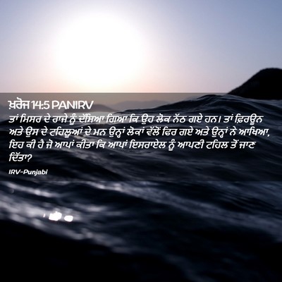 Picture 02 - ਖ਼ਰੋਜ 14:5 PANIRV - ਤਾਂ ਮਿਸਰ ਦੇ ਰਾਜੇ - Bible Verse Picture