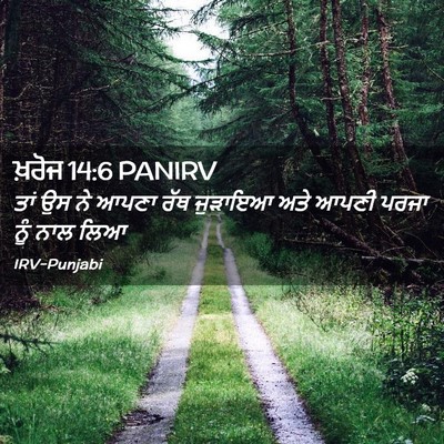 Picture 02 - ਖ਼ਰੋਜ 14:6 PANIRV - ਤਾਂ ਉਸ ਨੇ ਆਪਣਾ ਰੱਥ - Bible Verse Picture