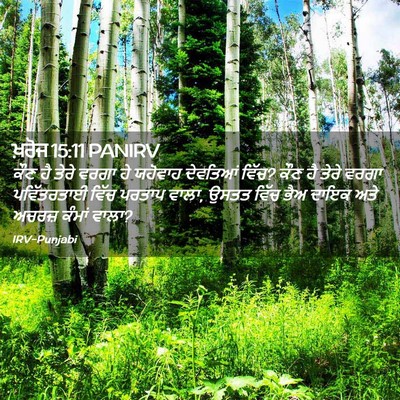 Picture 02 - ਖ਼ਰੋਜ 15:11 PANIRV - ਕੌਣ ਹੈ ਤੇਰੇ ਵਰਗਾ ਹੇ - Bible Verse Picture