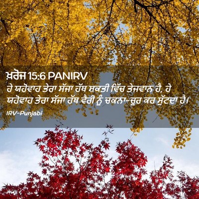 Picture 02 - ਖ਼ਰੋਜ 15:6 PANIRV - ਹੇ ਯਹੋਵਾਹ ਤੇਰਾ - Bible Verse Picture