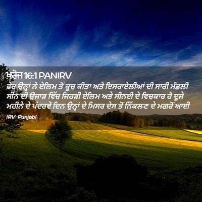Picture 02 - ਖ਼ਰੋਜ 16:1 PANIRV - ਫੇਰ ਉਨ੍ਹਾਂ ਨੇ ਏਲਿਮ - Bible Verse Picture