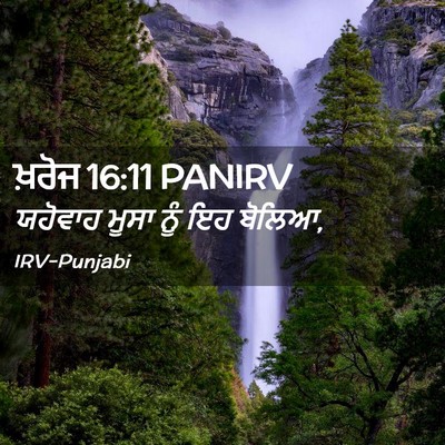 Picture 02 - ਖ਼ਰੋਜ 16:11 PANIRV - ਯਹੋਵਾਹ ਮੂਸਾ ਨੂੰ ਇਹ - Bible Verse Picture