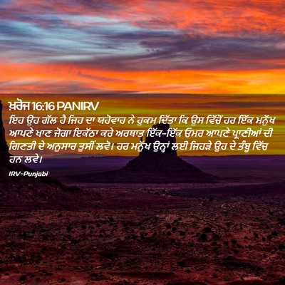 Picture 02 - ਖ਼ਰੋਜ 16:16 PANIRV - ਇਹ ਉਹ ਗੱਲ ਹੈ ਜਿਹ ਦਾ - Bible Verse Picture