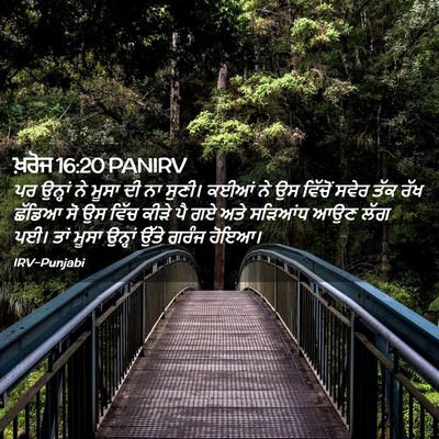 Picture 02 - ਖ਼ਰੋਜ 16:20 PANIRV - ਪਰ ਉਨ੍ਹਾਂ ਨੇ ਮੂਸਾ - Bible Verse Picture