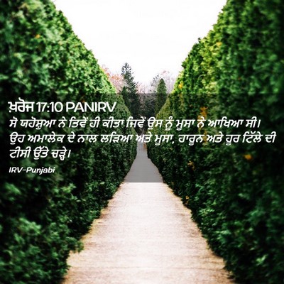 Picture 02 - ਖ਼ਰੋਜ 17:10 PANIRV - ਸੋ ਯਹੋਸ਼ੁਆ ਨੇ - Bible Verse Picture