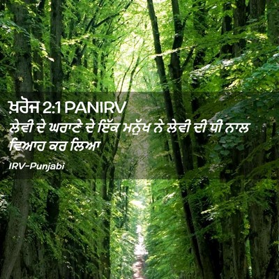 Picture 02 - ਖ਼ਰੋਜ 2:1 PANIRV - ਲੇਵੀ ਦੇ ਘਰਾਣੇ ਦੇ - Bible Verse Picture