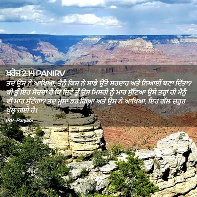 Picture 02 - ਖ਼ਰੋਜ 2:14 PANIRV - ਤਦ ਉਸ ਨੇ ਆਖਿਆ, - Bible Verse Picture