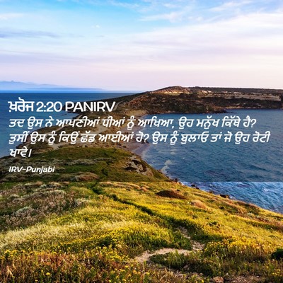 Picture 02 - ਖ਼ਰੋਜ 2:20 PANIRV - ਤਦ ਉਸ ਨੇ ਆਪਣੀਆਂ - Bible Verse Picture