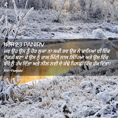 Picture 02 - ਖ਼ਰੋਜ 2:3 PANIRV - ਜਦ ਉਹ ਉਸ ਨੂੰ ਹੋਰ - Bible Verse Picture
