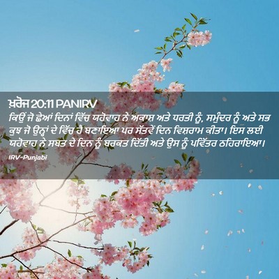 Picture 02 - ਖ਼ਰੋਜ 20:11 PANIRV - ਕਿਉਂ ਜੋ ਛੇਆਂ ਦਿਨਾਂ - Bible Verse Picture