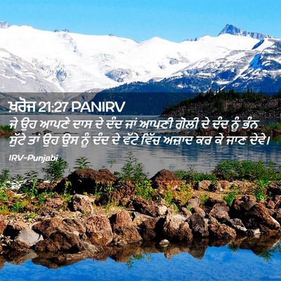 Picture 02 - ਖ਼ਰੋਜ 21:27 PANIRV - ਜੇ ਉਹ ਆਪਣੇ ਦਾਸ ਦੇ - Bible Verse Picture