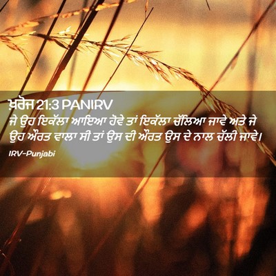 Picture 02 - ਖ਼ਰੋਜ 21:3 PANIRV - ਜੇ ਉਹ ਇਕੱਲਾ ਆਇਆ - Bible Verse Picture