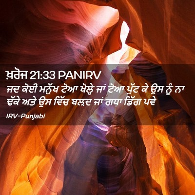 Picture 02 - ਖ਼ਰੋਜ 21:33 PANIRV - ਜਦ ਕੋਈ ਮਨੁੱਖ ਟੋਆ - Bible Verse Picture
