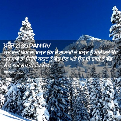 Picture 02 - ਖ਼ਰੋਜ 21:35 PANIRV - ਜਦ ਕਦੀ ਕਿਸੇ ਦਾ ਬਲ਼ਦ - Bible Verse Picture