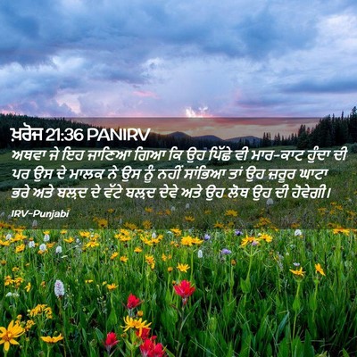 Picture 02 - ਖ਼ਰੋਜ 21:36 PANIRV - ਅਥਵਾ ਜੇ ਇਹ ਜਾਣਿਆ - Bible Verse Picture