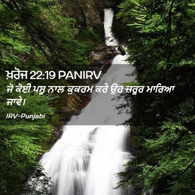 Picture 02 - ਖ਼ਰੋਜ 22:19 PANIRV - ਜੋ ਕੋਈ ਪਸ਼ੂ ਨਾਲ - Bible Verse Picture