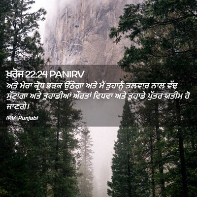 Picture 02 - ਖ਼ਰੋਜ 22:24 PANIRV - ਅਤੇ ਮੇਰਾ ਕ੍ਰੋਧ ਭੜਕ - Bible Verse Picture