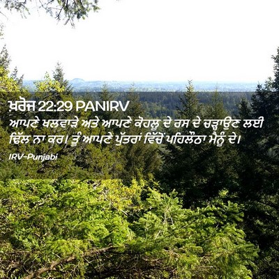 Picture 02 - ਖ਼ਰੋਜ 22:29 PANIRV - ਆਪਣੇ ਖਲਵਾੜੇ ਅਤੇ - Bible Verse Picture