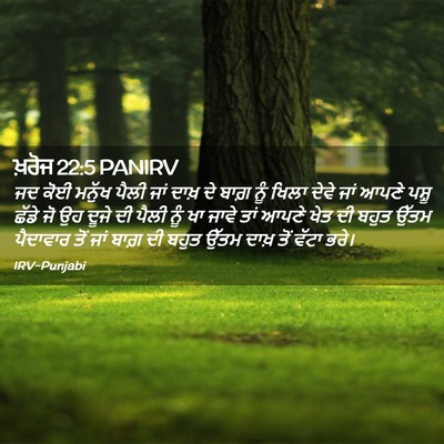 Picture 02 - ਖ਼ਰੋਜ 22:5 PANIRV - ਜਦ ਕੋਈ ਮਨੁੱਖ ਪੈਲੀ - Bible Verse Picture