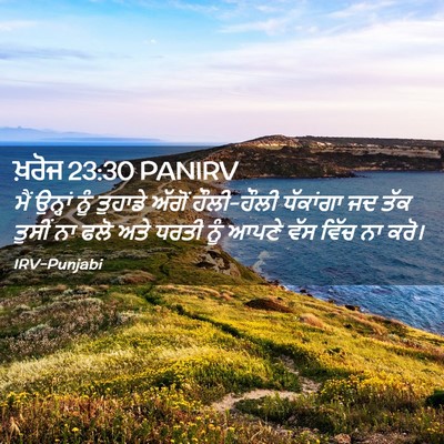 Picture 02 - ਖ਼ਰੋਜ 23:30 PANIRV - ਮੈਂ ਉਨ੍ਹਾਂ ਨੂੰ - Bible Verse Picture