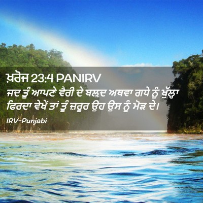 Picture 02 - ਖ਼ਰੋਜ 23:4 PANIRV - ਜਦ ਤੂੰ ਆਪਣੇ ਵੈਰੀ ਦੇ - Bible Verse Picture