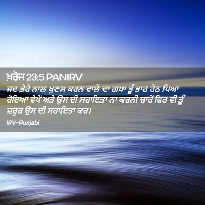 Picture 02 - ਖ਼ਰੋਜ 23:5 PANIRV - ਜਦ ਤੇਰੇ ਨਾਲ ਖੁਣਸ - Bible Verse Picture