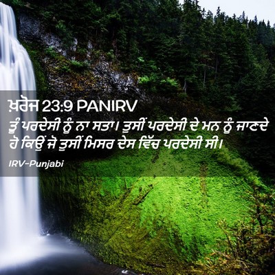 Picture 02 - ਖ਼ਰੋਜ 23:9 PANIRV - ਤੂੰ ਪਰਦੇਸੀ ਨੂੰ ਨਾ - Bible Verse Picture