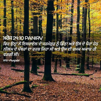 Picture 02 - ਖ਼ਰੋਜ 24:10 PANIRV - ਫਿਰ ਉਨ੍ਹਾਂ ਨੇ - Bible Verse Picture