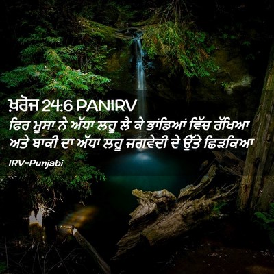 Picture 02 - ਖ਼ਰੋਜ 24:6 PANIRV - ਫਿਰ ਮੂਸਾ ਨੇ ਅੱਧਾ - Bible Verse Picture