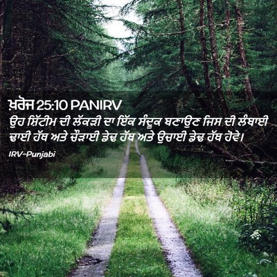 Picture 02 - ਖ਼ਰੋਜ 25:10 PANIRV - ਉਹ ਸ਼ਿੱਟੀਮ ਦੀ - Bible Verse Picture