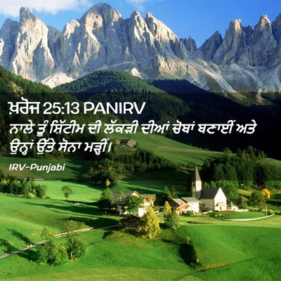 Picture 02 - ਖ਼ਰੋਜ 25:13 PANIRV - ਨਾਲੇ ਤੂੰ ਸ਼ਿੱਟੀਮ - Bible Verse Picture