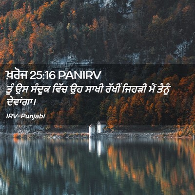Picture 02 - ਖ਼ਰੋਜ 25:16 PANIRV - ਤੂੰ ਉਸ ਸੰਦੂਕ ਵਿੱਚ - Bible Verse Picture