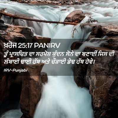 Picture 02 - ਖ਼ਰੋਜ 25:17 PANIRV - ਤੂੰ ਪ੍ਰਾਸਚਿਤ ਦਾ - Bible Verse Picture
