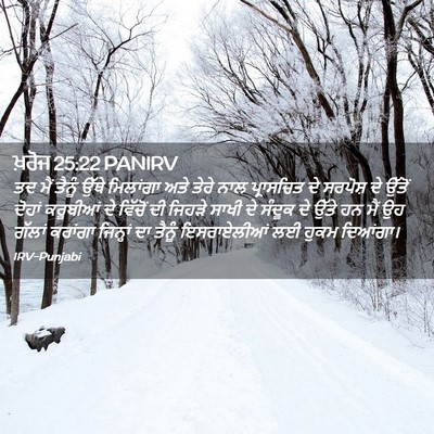 Picture 02 - ਖ਼ਰੋਜ 25:22 PANIRV - ਤਦ ਮੈਂ ਤੈਨੂੰ ਉੱਥੇ - Bible Verse Picture