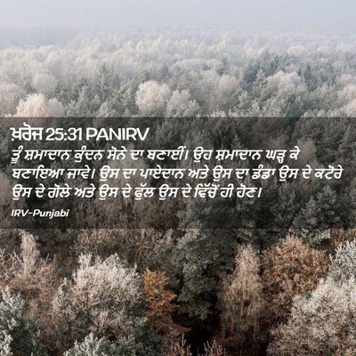 Picture 02 - ਖ਼ਰੋਜ 25:31 PANIRV - ਤੂੰ ਸ਼ਮਾਦਾਨ ਕੁੰਦਨ - Bible Verse Picture