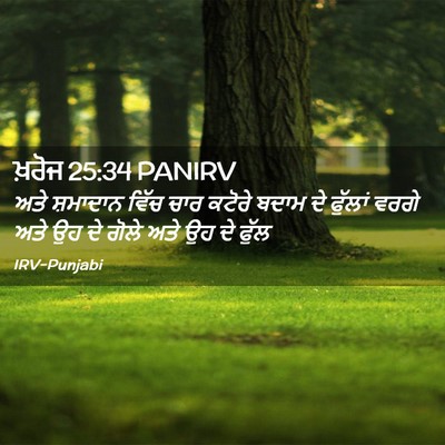 Picture 02 - ਖ਼ਰੋਜ 25:34 PANIRV - ਅਤੇ ਸ਼ਮਾਦਾਨ ਵਿੱਚ - Bible Verse Picture
