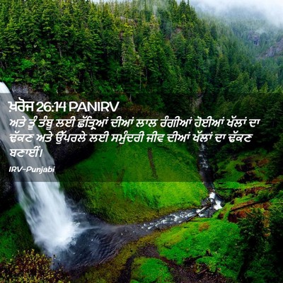 Picture 02 - ਖ਼ਰੋਜ 26:14 PANIRV - ਅਤੇ ਤੂੰ ਤੰਬੂ ਲਈ - Bible Verse Picture