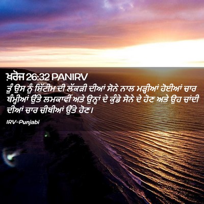 Picture 02 - ਖ਼ਰੋਜ 26:32 PANIRV - ਤੂੰ ਉਸ ਨੂੰ ਸ਼ਿੱਟੀਮ - Bible Verse Picture
