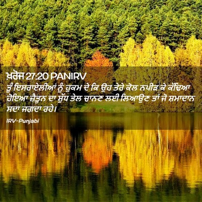 Picture 02 - ਖ਼ਰੋਜ 27:20 PANIRV - ਤੂੰ ਇਸਰਾਏਲੀਆਂ ਨੂੰ - Bible Verse Picture