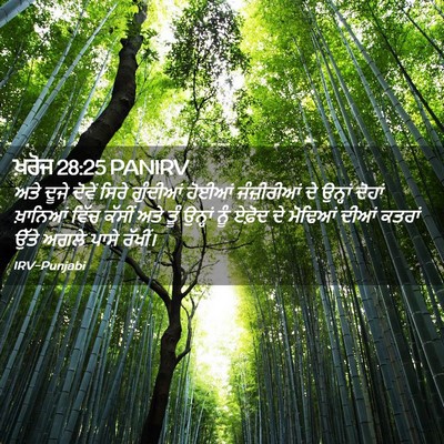 Picture 02 - ਖ਼ਰੋਜ 28:25 PANIRV - ਅਤੇ ਦੂਜੇ ਦੋਵੇਂ - Bible Verse Picture