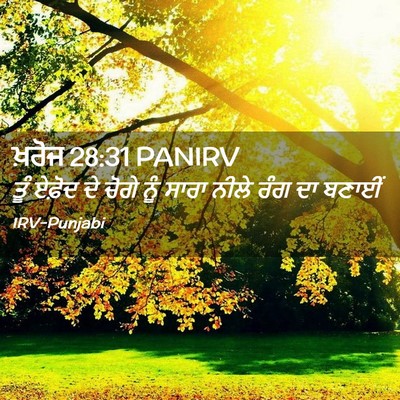 Picture 02 - ਖ਼ਰੋਜ 28:31 PANIRV - ਤੂੰ ਏਫ਼ੋਦ ਦੇ ਚੋਗੇ - Bible Verse Picture