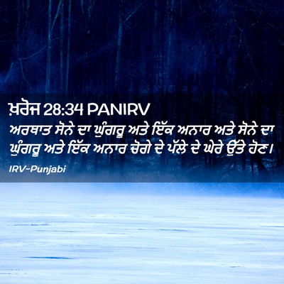 Picture 02 - ਖ਼ਰੋਜ 28:34 PANIRV - ਅਰਥਾਤ ਸੋਨੇ ਦਾ - Bible Verse Picture