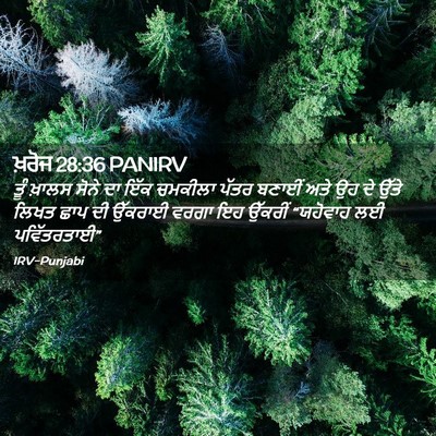 Picture 02 - ਖ਼ਰੋਜ 28:36 PANIRV - ਤੂੰ ਖ਼ਾਲਸ ਸੋਨੇ ਦਾ - Bible Verse Picture