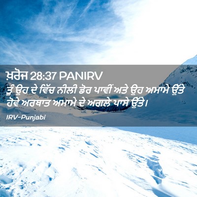 Picture 02 - ਖ਼ਰੋਜ 28:37 PANIRV - ਤੂੰ ਉਹ ਦੇ ਵਿੱਚ ਨੀਲੀ - Bible Verse Picture