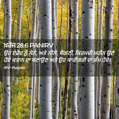Picture 02 - ਖ਼ਰੋਜ 28:6 PANIRV - ਉਹ ਏਫ਼ੋਦ ਨੂੰ ਸੋਨੇ, - Bible Verse Picture