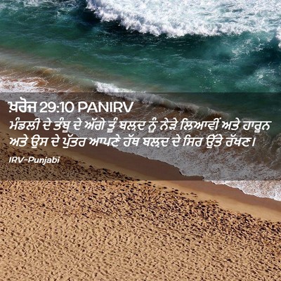 Picture 02 - ਖ਼ਰੋਜ 29:10 PANIRV - ਮੰਡਲੀ ਦੇ ਤੰਬੂ ਦੇ - Bible Verse Picture