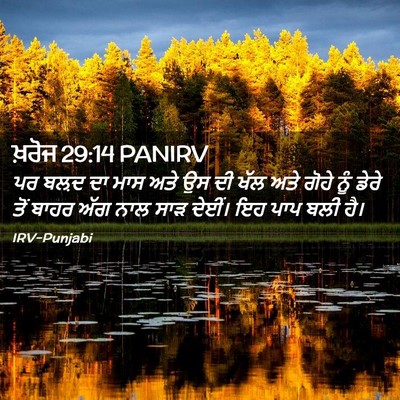 Picture 02 - ਖ਼ਰੋਜ 29:14 PANIRV - ਪਰ ਬਲ਼ਦ ਦਾ ਮਾਸ ਅਤੇ - Bible Verse Picture