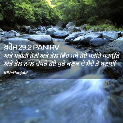 Picture 02 - ਖ਼ਰੋਜ 29:2 PANIRV - ਅਤੇ ਪਤੀਰੀ ਰੋਟੀ ਅਤੇ - Bible Verse Picture