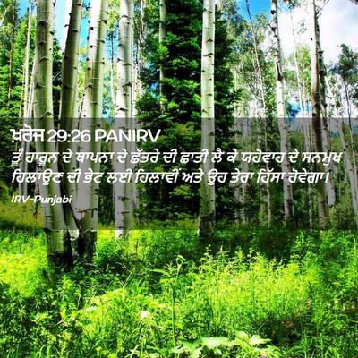 Picture 02 - ਖ਼ਰੋਜ 29:26 PANIRV - ਤੂੰ ਹਾਰੂਨ ਦੇ ਥਾਪਨਾ - Bible Verse Picture